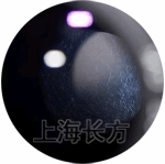 Ŀбù