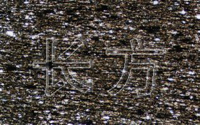 单偏光实例图