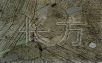 粉红色大理石单偏光实例图