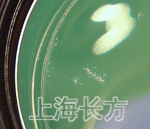 从目镜斜看看到的霉斑
