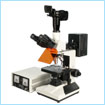 数码荧光显微镜 CFM-300Z