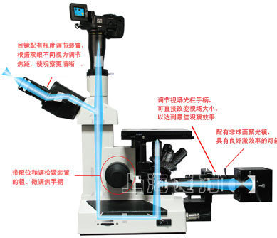 cmm22-03.jpg