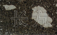 流纹斑岩单偏光实例图