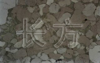 石英岩正交偏光实例图