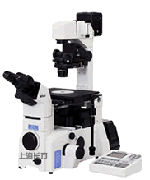 尼康研究型倒置显微镜
