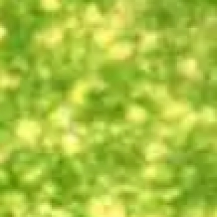 寄生虫检测实操：显微镜识别人体寄生虫虫卵与虫体特征