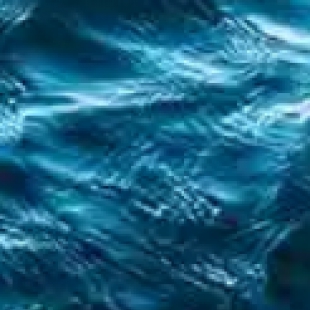 水质富营养化监测：显微镜计数浮游生物、识别藻类种类