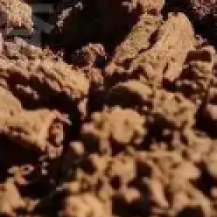 大气颗粒物检测：显微镜分析粉尘形貌评估空气污染程度
