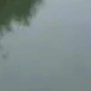 河道生态监测：显微镜追踪水体生物变化判断生态修复效果