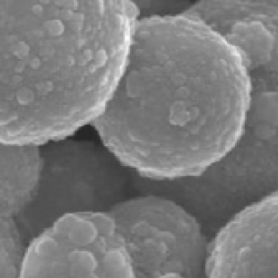 纳米生物材料检测：显微镜分析纳米载体与细胞结合状态