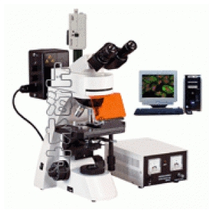 荧光生物显微镜 上海长方 CFM-400E