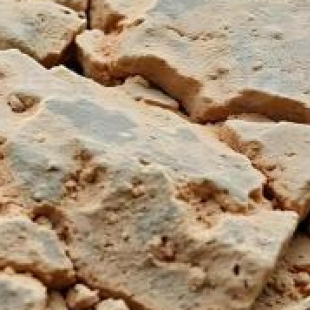 新版显微镜国标落地实施：科研成果驱动产业规范升级