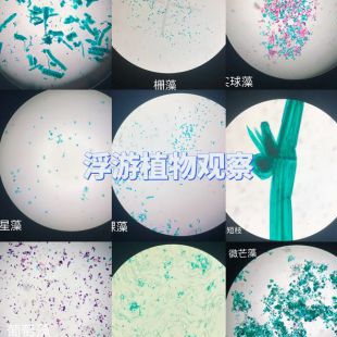荧光显微镜应用：生物分子标记与功能研究的利器