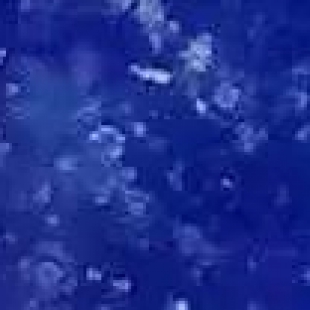 陶瓷材料质检必备：金相显微镜在烧结密度与孔隙率分析中的应用