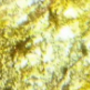 偏光显微镜在地质勘探中的应用：岩石薄片鉴定全流程详解