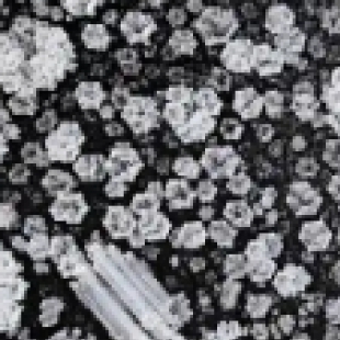 职业教育新工具：工业显微镜培训学生工业检测技能
