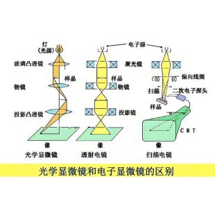 一文搞懂光学显微镜与电子显微镜的核心原理差异