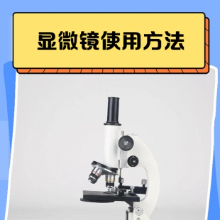 光学显微镜正确操作步骤详解：从开机到关机的完整流程指南