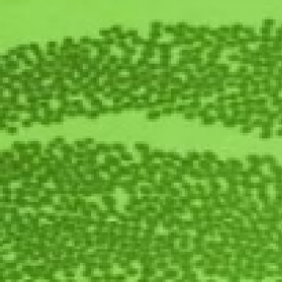 汽车焊接质量检测显微镜选购攻略，专业人士教你怎么选不踩坑