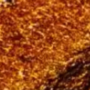 体视显微镜操作技巧：如何快速获得清晰立体的观察效果