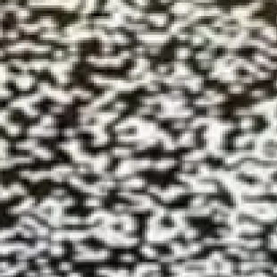 晶圆检测用什么显微镜？2026 年半导体行业专业品牌推荐与测评