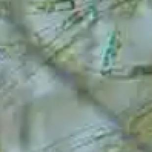 食品微生物检测显微镜怎么选？食品安全检测必备的专业设备