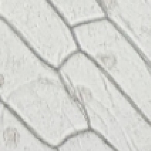 显微镜图像分析教程：如何使用软件进行测量与数据统计