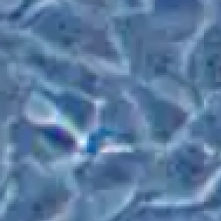 水中悬浮物检测显微镜怎么选？环保实验室必备的高性价比型号