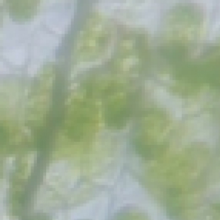 荧光显微镜使用安全：紫外线防护与化学品使用注意事项