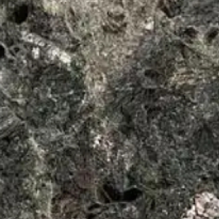 显微镜正确使用方法：90%新手都会犯的5个错误
