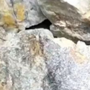 显微镜对光技巧：如何快速获得均匀明亮的视野