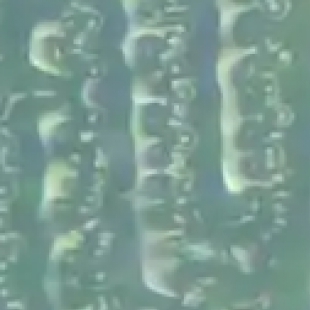 显微镜选型三要素：用途预算品牌，按这个顺序绝对不会错