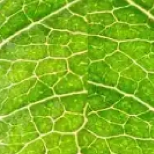生物显微镜哪个品牌好？从教学级到科研级全系列推荐