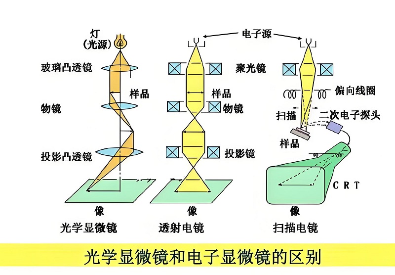 20260516-572893005.jpg 光学显微镜与电子显微镜的核心原理差异.jpg